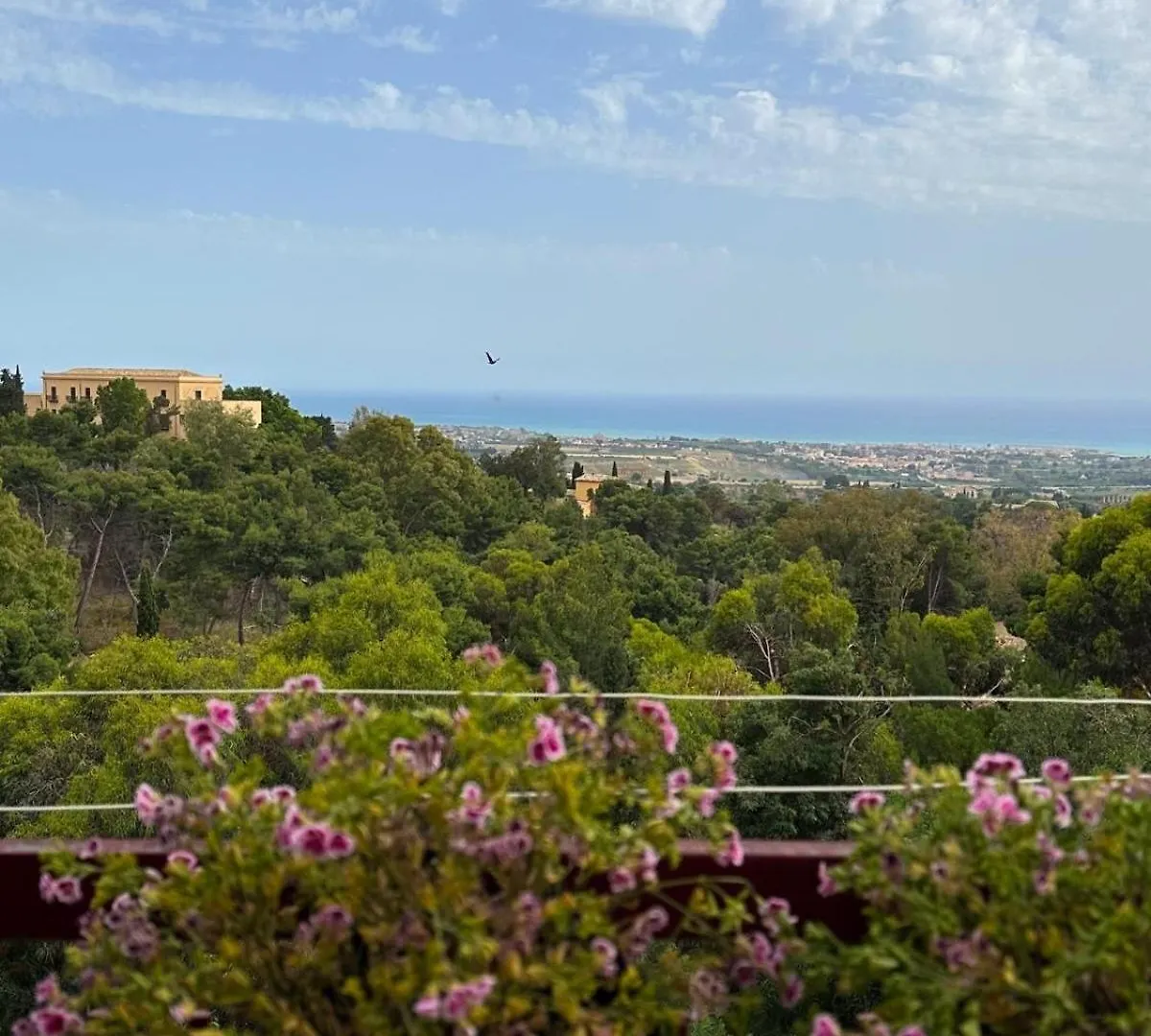 La Casetta Di Ro Ro' Vista Sulla Valle Dei Templi Agrigento Guest house